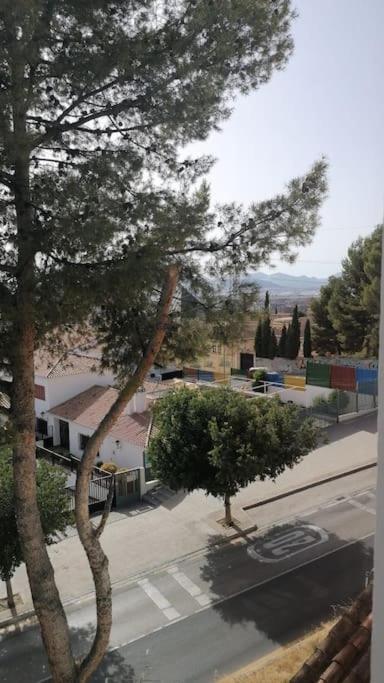 Апартаменти Views, Family & Private Parking In Alto Albayzin Гранада Екстер'єр фото
